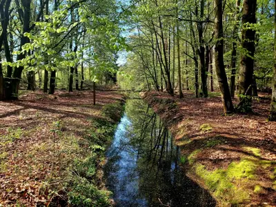 Ferienwohnung für 2 Personen (45 m²) in Prerow 10/10