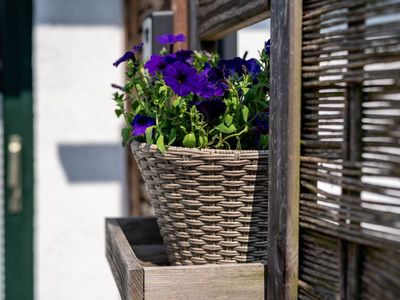 Ferienwohnung für 3 Personen (35 m²) in Priborn 7/10