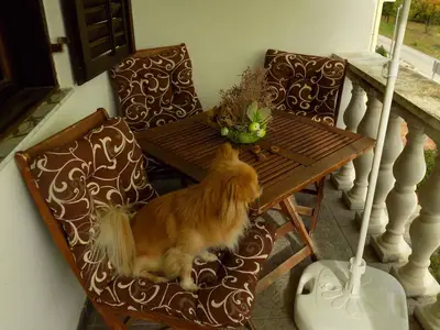 Ferienwohnung für 8 Personen (90 m²) in Pridraga 6/10