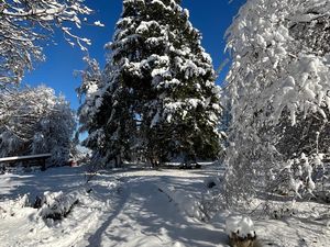 24027293-Ferienwohnung-6-Prien Am Chiemsee-300x225-5