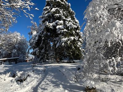 Boschenhof Park im Winter