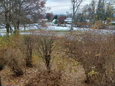 Gartenansicht 1