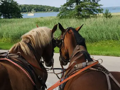 Kutschen Herrenchiemsee