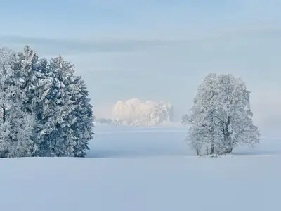 Winterimpressionen Ferienwohnung Ober