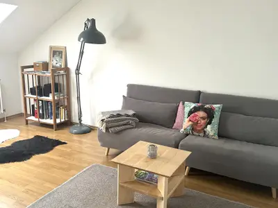 Wohnzimmer Ansicht Sofa (statt Schlafplatz) und Regal