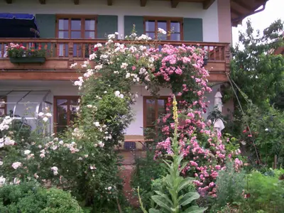 Haus von Süden