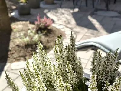FeWo Terrasse Süd