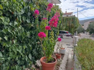 Ferienwohnung für 5 Personen (80 m²) in Primošten 9/10