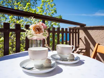 TerraceBalcony