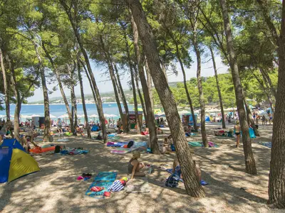 Ferienwohnung für 8 Personen (100 m²) in Primošten 9/10