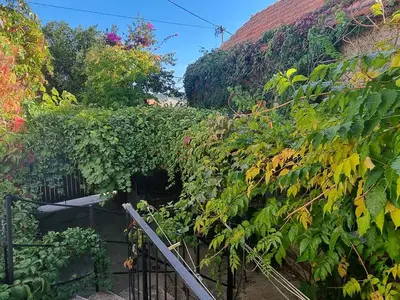 Ferienwohnung für 6 Personen (62 m²) in Primošten 8/10