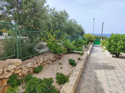 Ferienwohnung für 4 Personen (50 m²) in Primošten 6/10