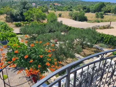 Ferienwohnung für 6 Personen (100 m²) in Primošten 5/10
