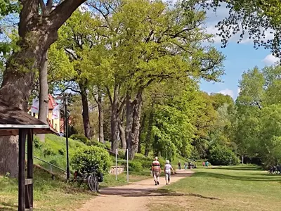 Ferienwohnung für 3 Personen (70 m²) in Pritzwalk 9/10