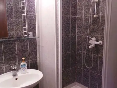 Ferienwohnung für 4 Personen (40 m²) in Sabunike 10/10