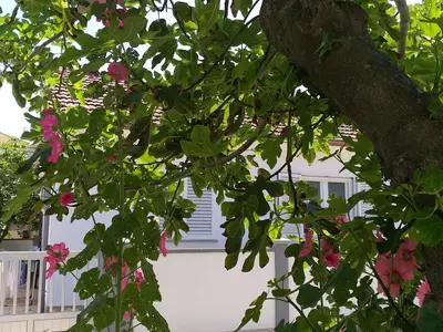 Ferienwohnung für 4 Personen (50 m²) in Sabunike 5/10