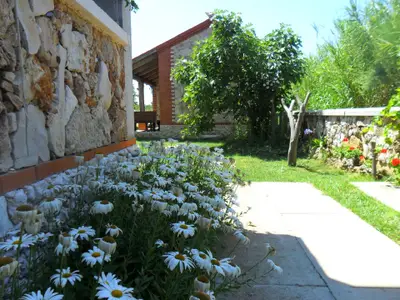 Bild 5