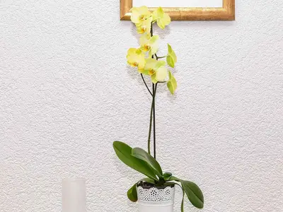 Ferienwohnung für 4 Personen (35 m²) in Sabunike 10/10