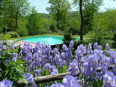 Bild 4 Bild 4