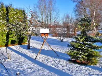 Ferienwohnung für 3 Personen (30 m²) in Prohn 2/10