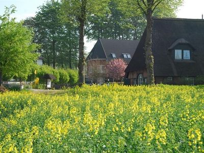 Ferienwohnung für 3 Personen in Pronstorf 2/10