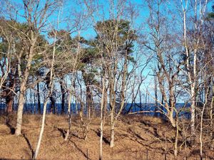 23542477-Ferienwohnung-5-Prora Auf Rügen-300x225-5