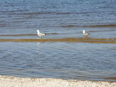 Ferienwohnung für 6 Personen (100 m²) in Prora Auf Rügen 5/10