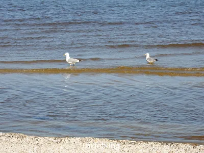 048_Strand_05