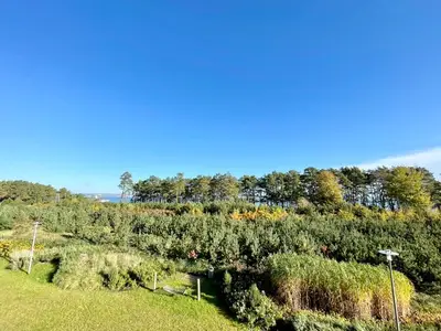 Ferienwohnung für 4 Personen (80 m²) in Binz (Ostseebad) 3/10