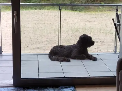 Ferienwohnung für 6 Personen (82 m²) in Binz (Ostseebad) 7/10