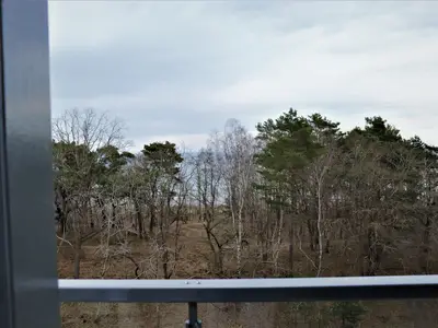 Ferienwohnung für 6 Personen (99 m²) in Binz (Ostseebad) 7/10