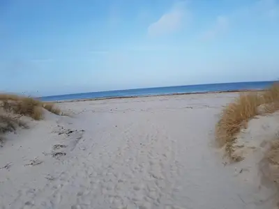 AreaSummer20KM