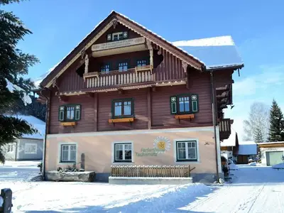 Ferienwohnung für 10 Personen (150 m²) in Pruggern 3/10