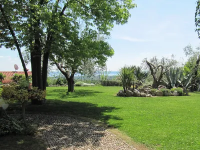 Garten Garten