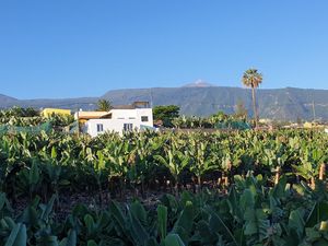 22447013-Ferienwohnung-3-Puerto de la Cruz-300x225-1