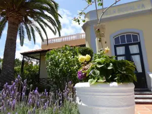 Ferienwohnung für 4 Personen (50 m²) in Puerto de la Cruz