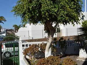 23131087-Ferienwohnung-5-Puerto del Carmen-300x225-3