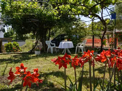 Ferienwohnung für 3 Personen (40 m²) in Štinjan 7/10