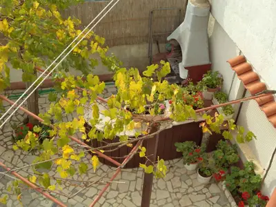 Ferienwohnung für 5 Personen (60 m²) in Pula (Istarska) 6/10