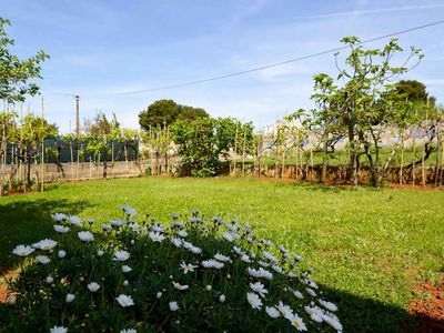 Ferienwohnung für 2 Personen (32 m²) in Pula (Istarska) 3/10