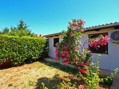 Ferienwohnung für 4 Personen (56 m²) in Štinjan 4/10
