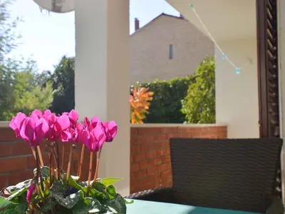 Ferienwohnung für 5 Personen (55 m²) in Pula (Istarska) 4/10