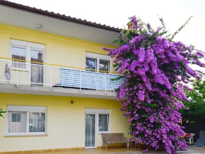 Ferienwohnung für 5 Personen (70 m²) in Pula (Istarska) 1/10