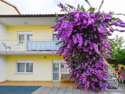 Ferienwohnung für 11 Personen (156 m²) in Pula (Istarska) 2/10