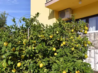 Ferienwohnung für 5 Personen (100 m²) in Pula (Istarska) 7/10