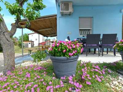 Ferienwohnung für 3 Personen (30 m²) in Štinjan 5/10