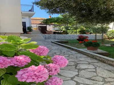 ExteriorSummer