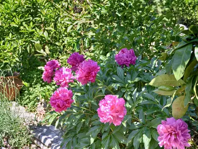 Bild 4