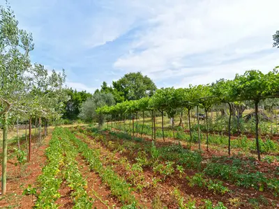 Ferienwohnung für 5 Personen (55 m²) in Pula (Istarska) 4/10