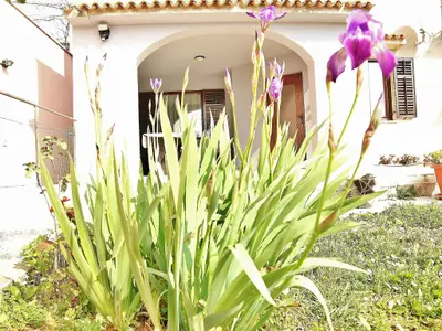 Ferienwohnung für 7 Personen (80 m²) in Pula (Istarska) 3/10